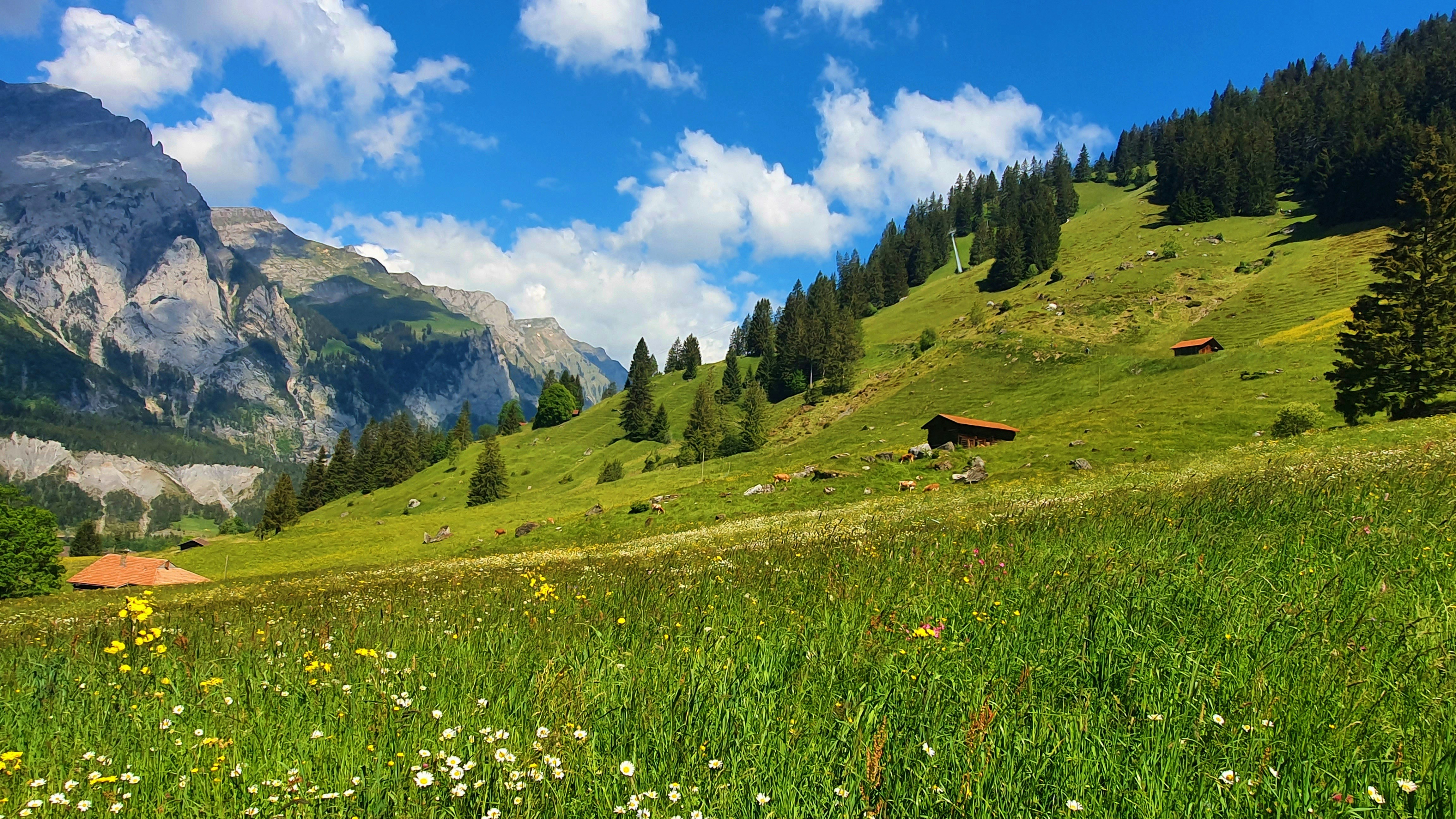 Switzerland